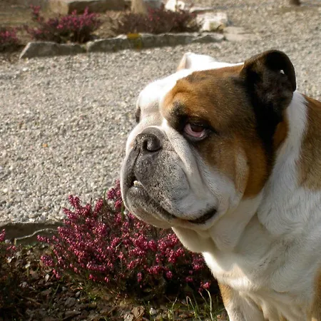 Piccolo Отель типа 